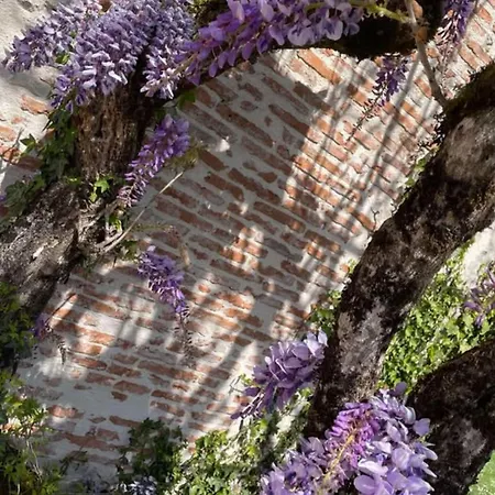 06-les Glycines Avec Piscine & Jacuzzi-5 Pers *