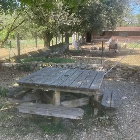 Ferienhaus 06-les Glycines Avec Piscine & Jacuzzi-5 Pers Martel