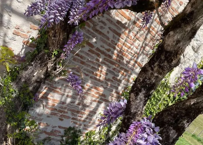 06-les Glycines Avec Piscine & Jacuzzi-5 Pers *